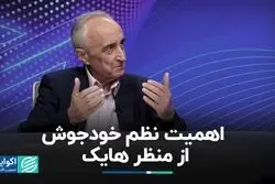 اهمیت نظم خودجوش از منظر هایک 