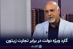 گارد ویژه دولت در برابر تجارت زیتون