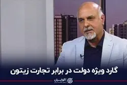 گارد ویژه دولت در برابر تجارت زیتون
