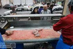 روایتی از فشار شدید تورم بر زندگی مردم+ نمودار