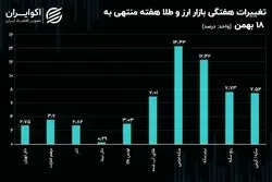 سکه و نیم سکه پریدند / عوامل اثرگذار بر آینده دلار