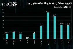 سکه و نیم سکه پریدند / عوامل اثرگذار بر آینده دلار