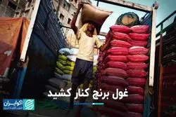 ممنوعیت تازه در هند، منجر به گرانی برنج می‌شود؟