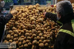  پاسخ شهرداری به کیفیت پایین سیب زمینی؛تهرانی ها نگران سیب،پرتقال و خرمانباشند 