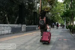 خیز نخبگان به خارج/ رئیسی از فرار مغزها پرده برداشت