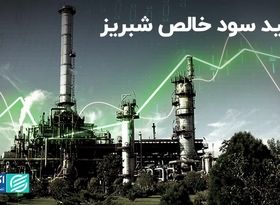 پتروشیمی تبریز در سال مالی قبل چقدر سود کرد؟