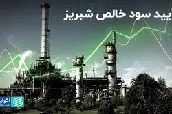 پتروشیمی تبریز در سال مالی قبل چقدر سود کرد؟
