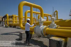نجفی‌عرب: ناترازی گاز 240 میلیون متر مکعب 