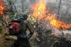 آتش‌سوزی‌های گسترده در جنگل‌ها و مراتع ایران/ ۳۱۰۰ هکتار از جنگل‌های لرستان خاکستر شد