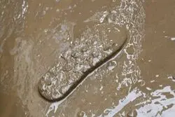 ایمن سازی مترو در برابر سیل 