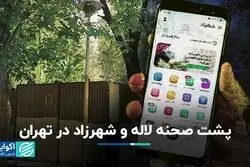 ردگیری ساخت‌و‌ساز در پارک‌ها و مهاجرت سامانه‌ای 