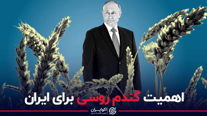 اهمیت گندم روسی برای ایران