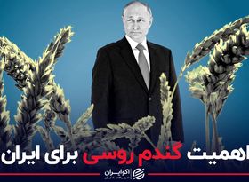 اهمیت گندم روسی برای ایران