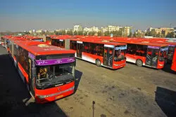 اضافه شدن ۲۰ دستگاه اتوبوس نو به خطوط جنوب تهران 

